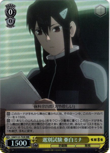 画像1: 【RRR仕様】選別試験 亜白ミナ[WS_KJ8/S123-T03R] (1)