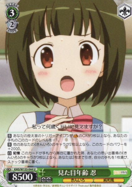 画像1: 見た目年齢 忍[WS_KMS/W133-044U] (1)