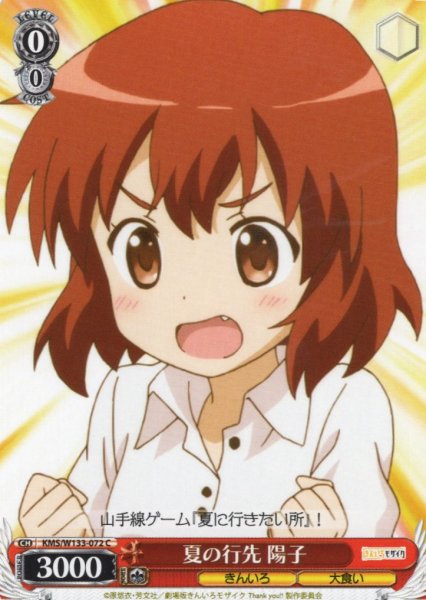 画像1: 夏の行先 陽子[WS_KMS/W133-072C] (1)