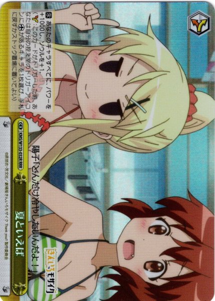 画像1: 【RRR仕様】夏といえば[WS_KMS/W133-032R] (1)