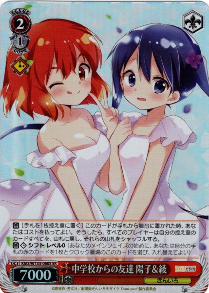 画像1: 【SR仕様(R)】中学校からの友達 陽子＆綾[WS_KMS/W133-060S] (1)