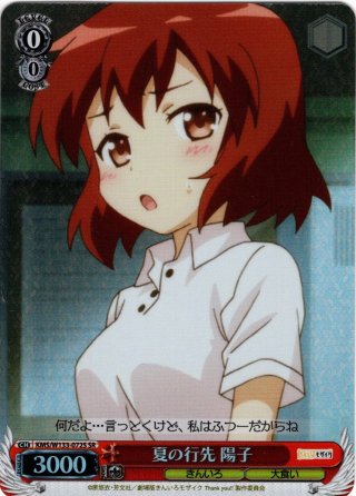 ヴァイスシュヴァルツ - マスターズスクウェア通販ブシロード店 (Page 64)