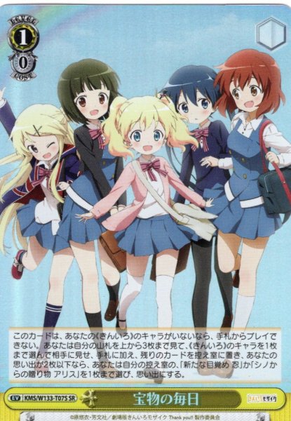 画像1: 【SR仕様】宝物の毎日[WS_KMS/W133-T07S] (1)