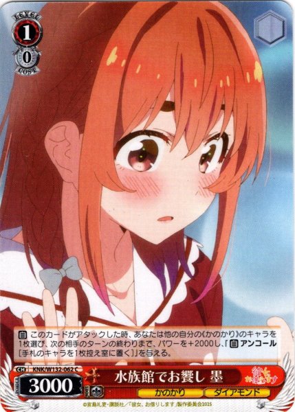 画像1: 水族館でお饗し 墨[WS_KNK/W132-062C] (1)