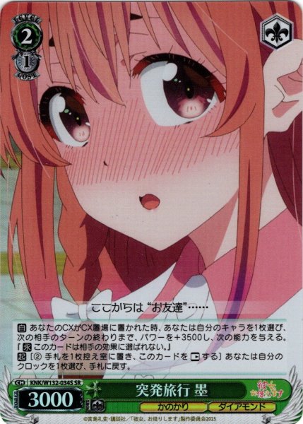 画像1: 【SR仕様(C)】突発旅行 墨[WS_KNK/W132-034S] (1)