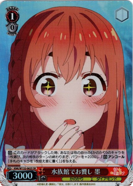 画像1: 【SR仕様(C)】水族館でお饗し 墨[WS_KNK/W132-062S] (1)