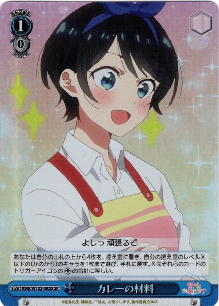 画像1: 【SR仕様(U)】カレーの材料[WS_KNK/W132-095S] (1)