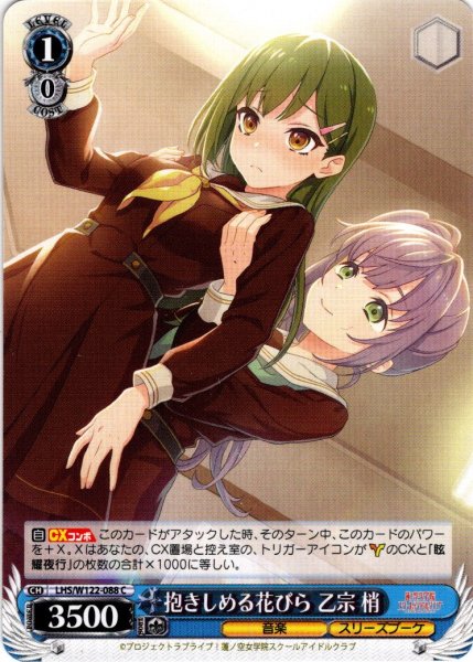 画像1: 抱きしめる花びら 乙宗 梢[WS_LHS/W122-088C] (1)