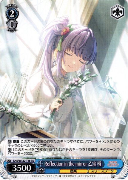 画像1: Reflection in the mirror 乙宗 梢[WS_LHS/W122-T15TD] (1)