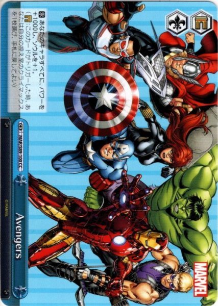 画像1: Avengers[WS_MAR/S89-100CC] (1)