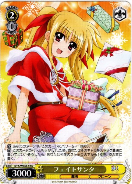 画像1: フェイトサンタ[WS_NTA/WE48-12N] (1)