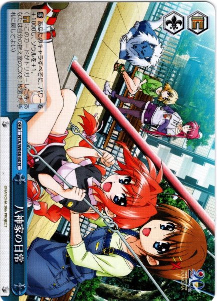 画像1: 八神家の日常[WS_NTA/WE48-60N] (1)