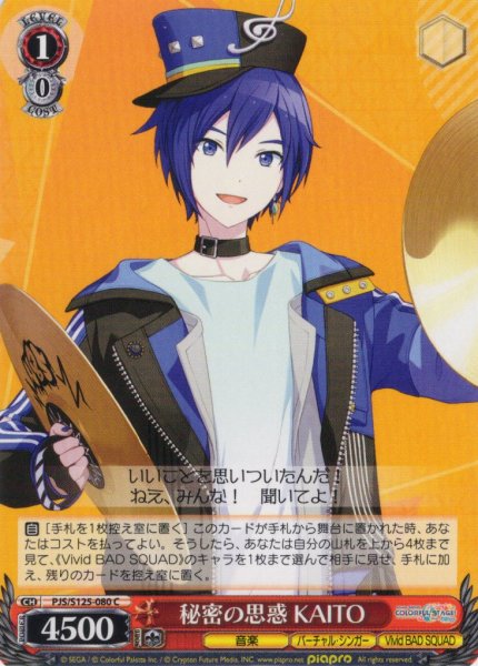 画像1: 秘密の思惑 KAITO[WS_PJS/S125-080C] (1)