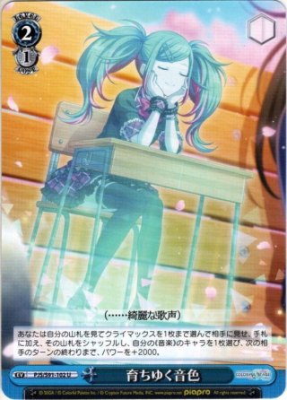 枕 4枚コンプセット(RR・R・C)ヴァイスシュヴァルツロゼ[WSZ_OS06a