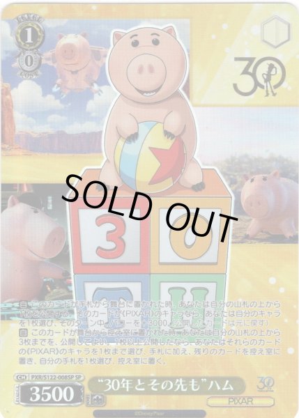 画像1: 【SP仕様(R)】“30年とその先も”ハム[WS_PXR/S122-008_SP] (1)