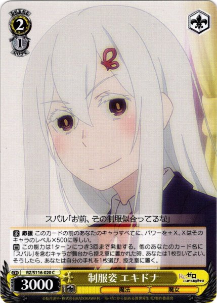 画像1: 制服姿 エキドナ[WS_RZ/S116-020C] (1)
