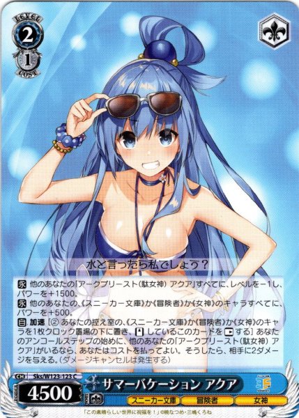 画像1: サマーバケーション アクア[WS_Sks/W123-123C] (1)
