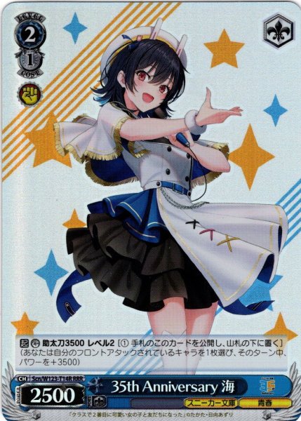 画像1: 【RRR仕様】35th Anniversary 海[WS_Scn/W123-T14R] (1)