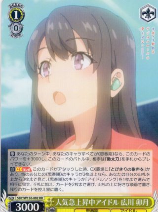 商品説明必読※ヴァイスシュヴァルツ anemoi【TDSP・TDPなし】開封済み