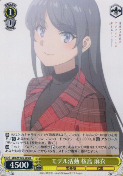 画像1: モデル活動 桜島 麻衣[WS_SBY/W136-006R] (1)
