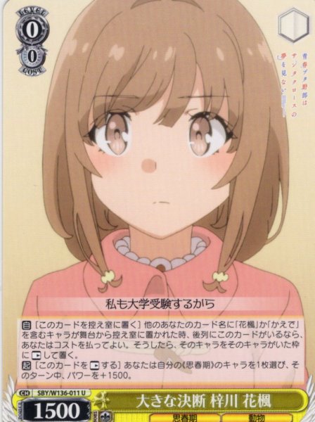 画像1: 大きな決断 梓川 花楓[WS_SBY/W136-011U] (1)