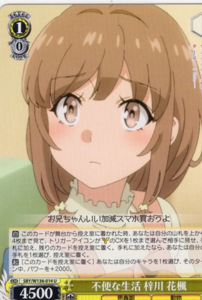 画像1: 不便な生活 梓川 花楓[WS_SBY/W136-014U] (1)