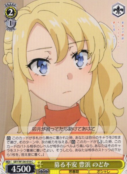画像1: 募る不安 豊浜 のどか[WS_SBY/W136-018C] (1)