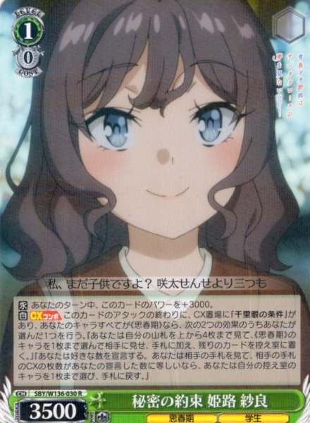 画像1: 秘密の約束 姫路 紗良[WS_SBY/W136-030R] (1)