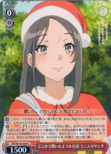 画像1: どこかで聞いたような台詞 ミニスカサンタ[WS_SBY/W136-049R] (1)