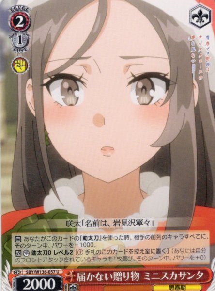 画像1: 届かない贈り物 ミニスカサンタ[WS_SBY/W136-057U] (1)