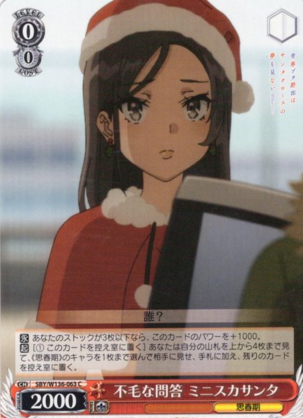 画像1: 不毛な問答 ミニスカサンタ[WS_SBY/W136-063C] (1)