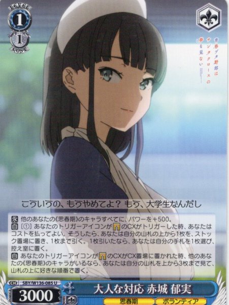画像1: 大人な対応 赤城 郁実[WS_SBY/W136-085U] (1)