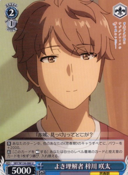 画像1: よき理解者 梓川 咲太[WS_SBY/W136-086U] (1)
