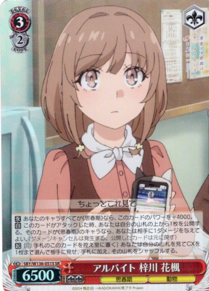 画像1: 【SR仕様(R)】アルバイト 梓川 花楓[WS_SBY/W136-051S] (1)