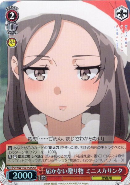 画像1: 【SR仕様(U)】届かない贈り物 ミニスカサンタ[WS_SBY/W136-057S] (1)