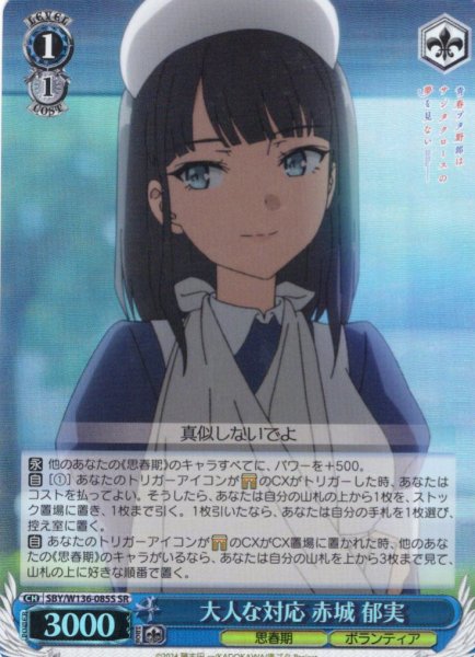 画像1: 【SR仕様(U)】大人な対応 赤城 郁実[WS_SBY/W136-085S] (1)