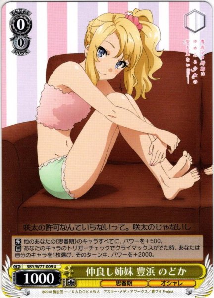 画像1: 仲良し姉妹 豊浜 のどか[WS_SBY/W77-009U] (1)