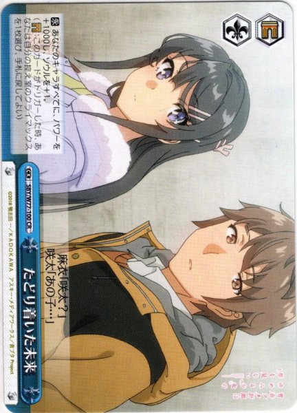 画像1: たどり着いた未来[WS_SBY/W77-100CR] (1)