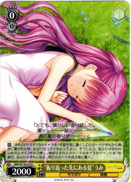 画像1: “振り返った先にある夏”うみ[WS_SMP/W130-018C] (1)