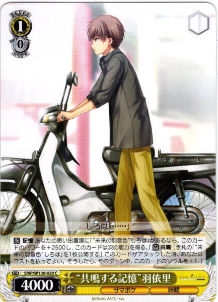 画像1: “共鳴する記憶”羽依里[WS_SMP/W130-020C] (1)