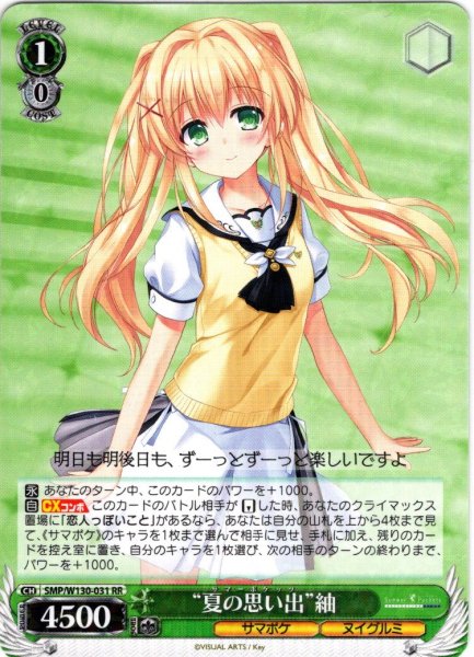 画像1: “夏の思い出”紬[WS_SMP/W130-031RR] (1)