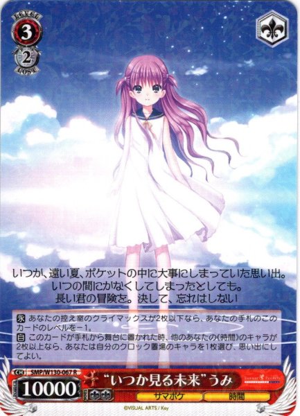 画像1: “いつか見る未来”うみ[WS_SMP/W130-067R] (1)