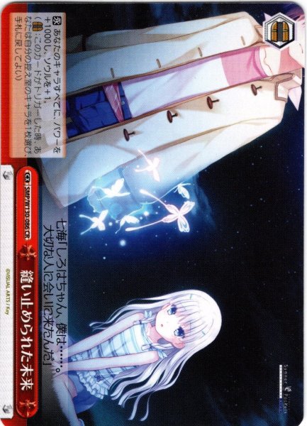 画像1: 縫い止められた未来[WS_SMP/W130-086CR] (1)