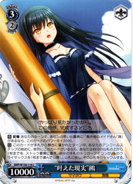 画像1: “叶えた現実”鴎[WS_SMP/W130-114C] (1)