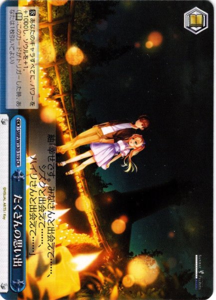 画像1: たくさんの思い出[WS_SMP/W130-119CR] (1)