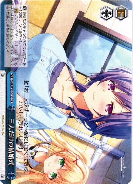 画像1: 三人だけの結婚式[WS_SMP/W130-120CR] (1)