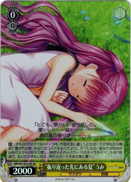 画像1: 【SR仕様(C)】“振り返った先にある夏”うみ[WS_SMP/W130-018S] (1)