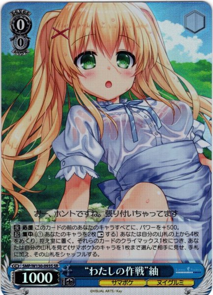 画像1: 【SR仕様(R)】“わたしの作戦”紬[WS_SMP/W130-093S] (1)