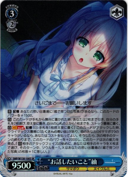 画像1: 【SR仕様(R)】“お話したいこと”紬[WS_SMP/W130-100S] (1)