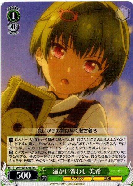 画像1: 温かい習わし 美希[WS_SMP/W137-030C] (1)